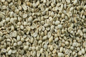 Specjalne zielone ziarna kawy Arabica from Nepal